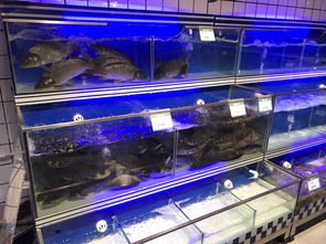 日日生鲜生活超市盛大开业，一站式购齐您的日用百货